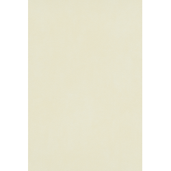 Papier peint polygone 2024...