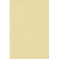 Papier peint polygone 2024...