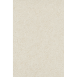 Papier peint polygone 2024...