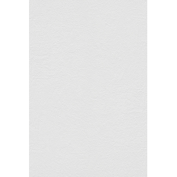 Papier peint polygone 2024...