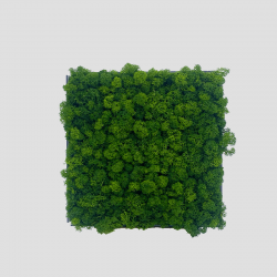 Panneau c vegetal surface...