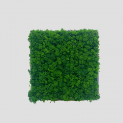 Panneau c vegetal surface...