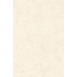 Papier  peint caselio beton...