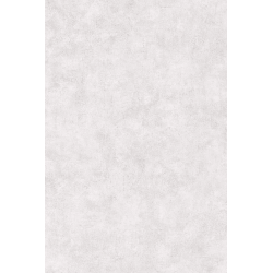 Papier  peint caselio beton...