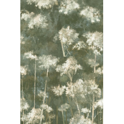 Casamance panoramas selva...