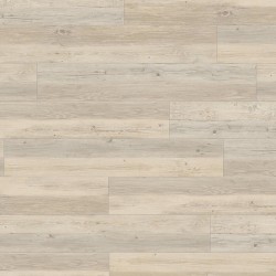 Rigid 55 lock acoustic 2023...