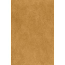 Papier peint casamance...