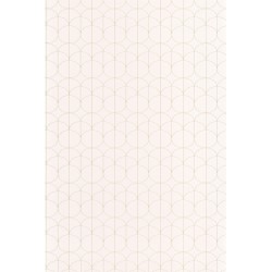 Papier peint casadeco 1930...