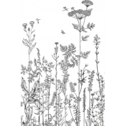 Panoramique caselio...