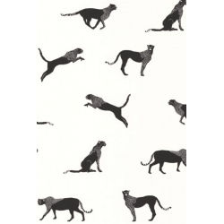 Papier peint caselio...