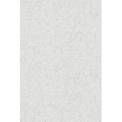 Revetement intisse go 2024...