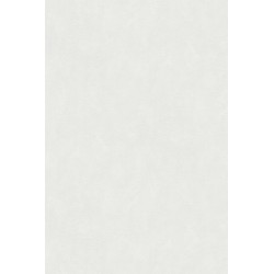 Revetement intisse go a...