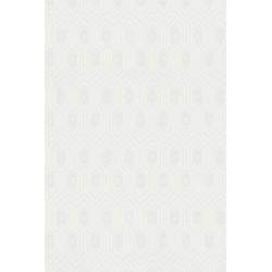 Revetement intisse go a...