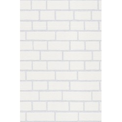 Revetement intisse go a...