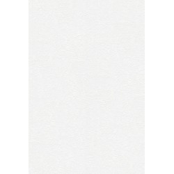 Revetement intisse go 2024...