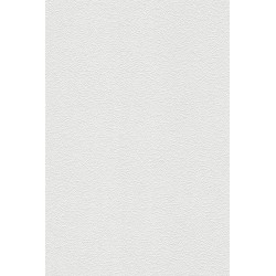 Revetement intisse go a...