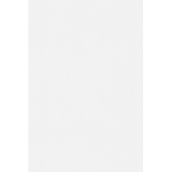 Revetement intisse go 2024...