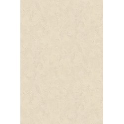 Revetement intisse go 2024...