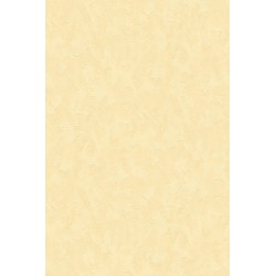 Revetement intisse go 2024...