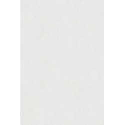 Revetement intisse go...