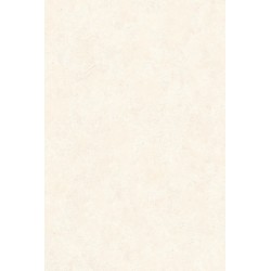 Revetement intisse go...