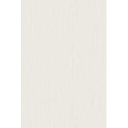 Revetement intisse go...