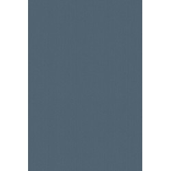 Revetement intisse go...