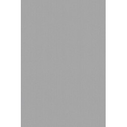 Revetement intisse go...