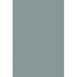 Revetement intisse go...