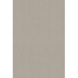 Revetement intisse go...