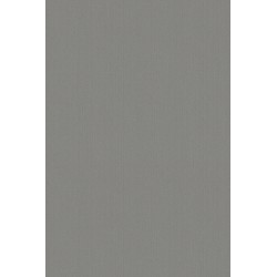 Revetement intisse go...