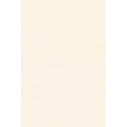 Revetement intisse go...