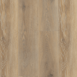 Icare rigid soltec lame...