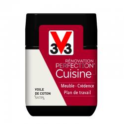 Peinture v33 renovation...