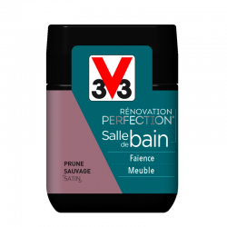 Peinture v33 renovation...