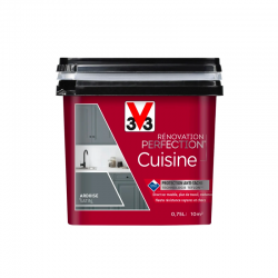 Peinture v33 renovation...