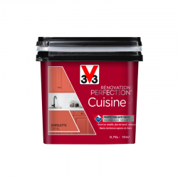 Peinture v33 renovation...