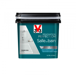 Peinture v33 renovation...