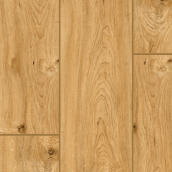 Ultimo click lames...