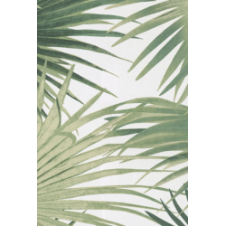 Masureel wild ratan...