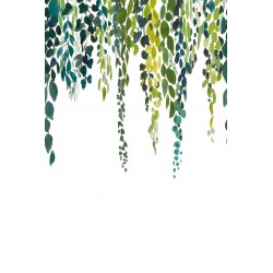 Panoramique Caselio Green &...