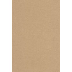 Papier peint Caselio Golden...