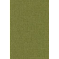 Papier peint Caselio Green...