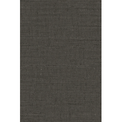 Masureel wild denia night...