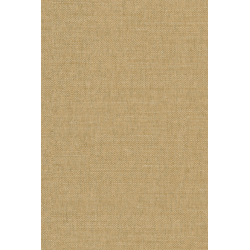 Masureel wild denia forest...