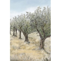 Panoramique Casamance...