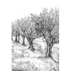 Panoramique Casamance...