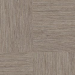 Transidal dalle vinyle...