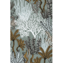 Casamance orphee posidonie...