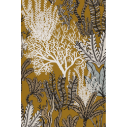 Casamance orphee posidonie...